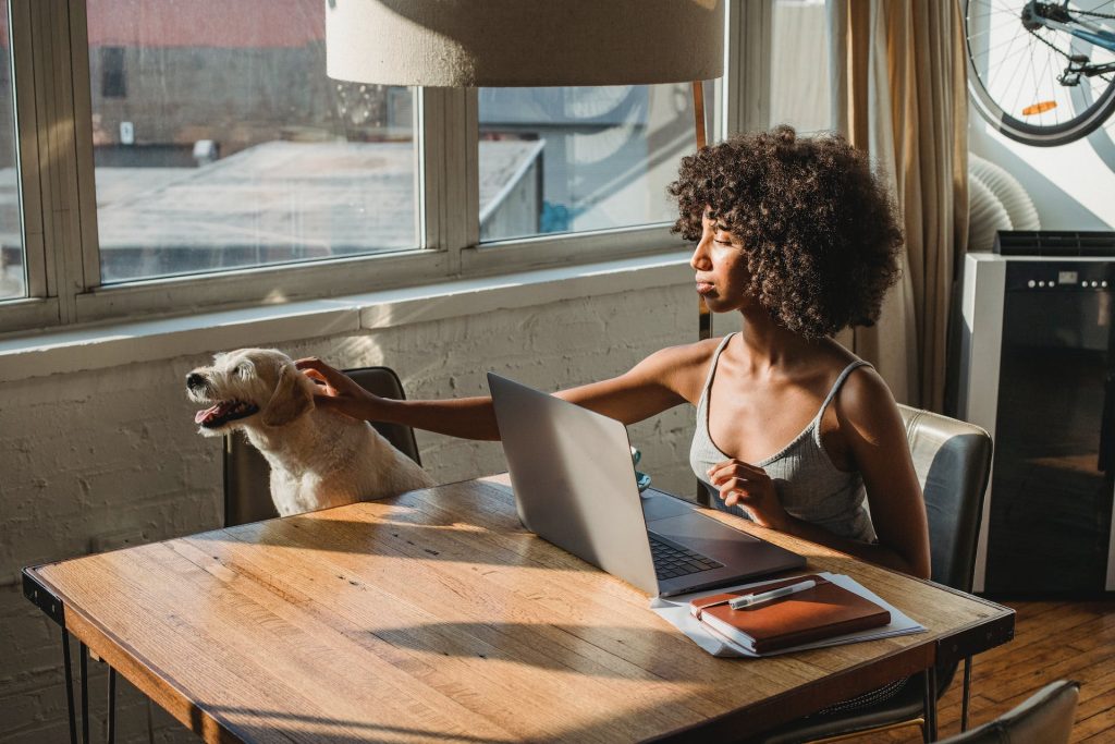 young woman at desk with notebook computer petting dog