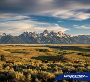 A scenic image of Wyoming's rugged landscape, representing the diverse terrain that the top vehicles for the state are built to handle.