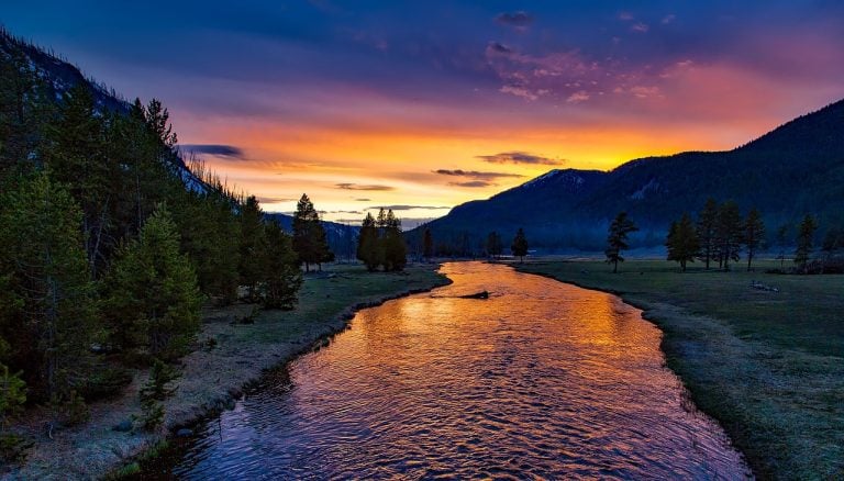 Top 5 Vehicles for Wyoming