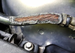 A car wire that has been chewed through by a rodent, representing common vehicle damage that may require an insurance claim.