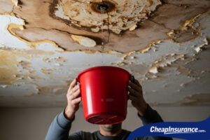 renters insurance after a disaster, cheap renters insurance