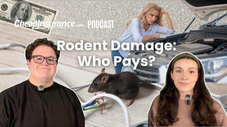 Rodent Damage Will Your Car Insurance Cover Chewed Up Wiring